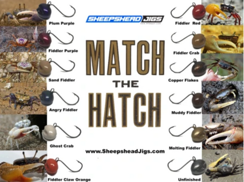 Match The Hatch With Your Sheepshead Jig
