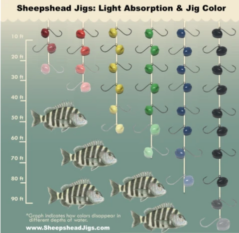 Sheepshead Jigs - Light Absorption & Jig Color