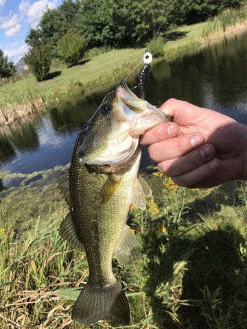 how to fish a jig for bass