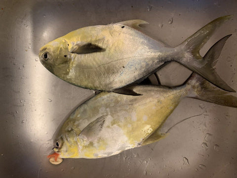 whole pompano fish for grilling